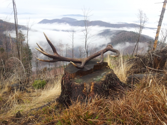 Po dlhej zime : Konečne jar..
