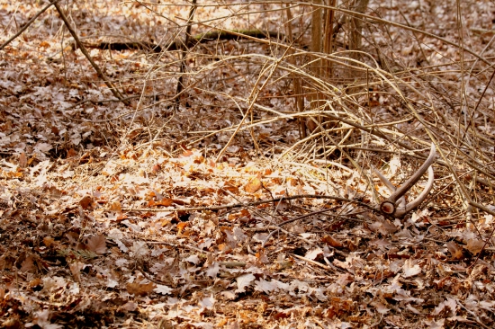 keď sa šťastie usmeje....12 torak