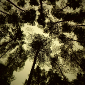 Magická príroda