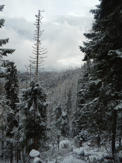 Tatry