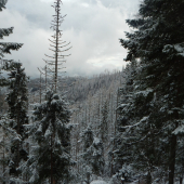 Tatry
