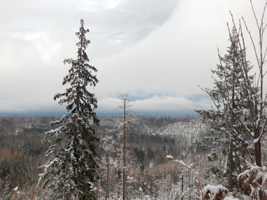 Tatry
