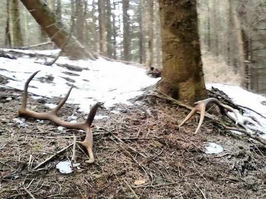 tak toto prajem každemu