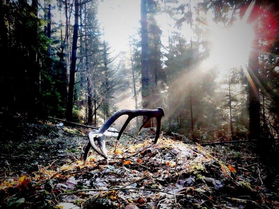 krásne prebudenie do pondelkového rana