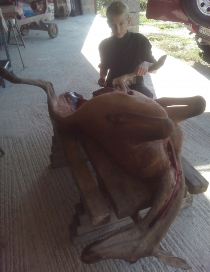 Rozrábal som dedov úlovok.