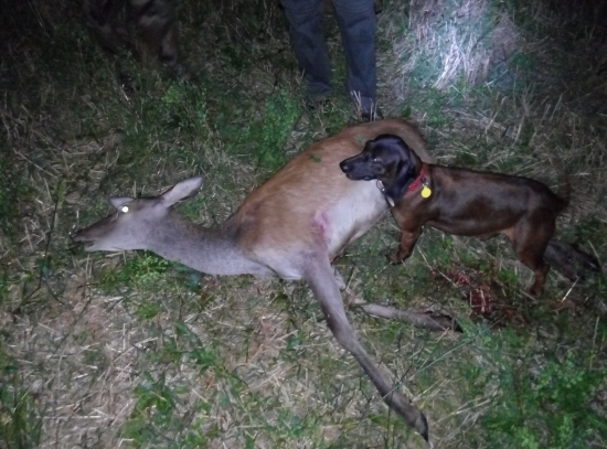 Úspešná dohladávka ešte z leta