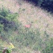 pravidelné stravovanie...