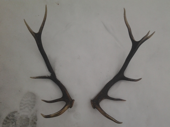 nepravydelný 12-torák