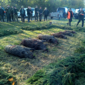 Dnesna spolocna polovacka