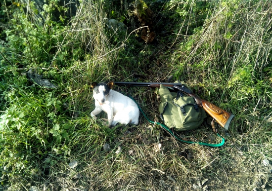 oddych pred pohonom...