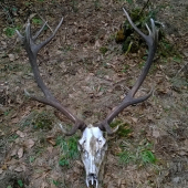 ten prvý pohľad....