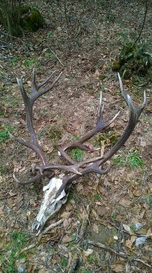 posledná marcová nedeľa