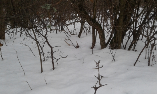 Kazdy rok to zacne starymi