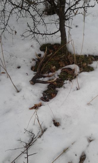 Kazdy rok to zacne starymi 2