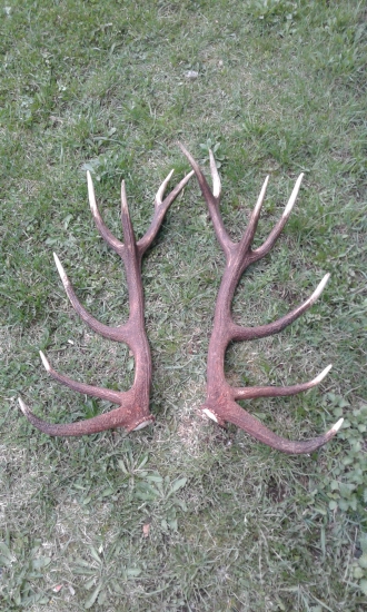 Tohtorocne naj. (zatial)