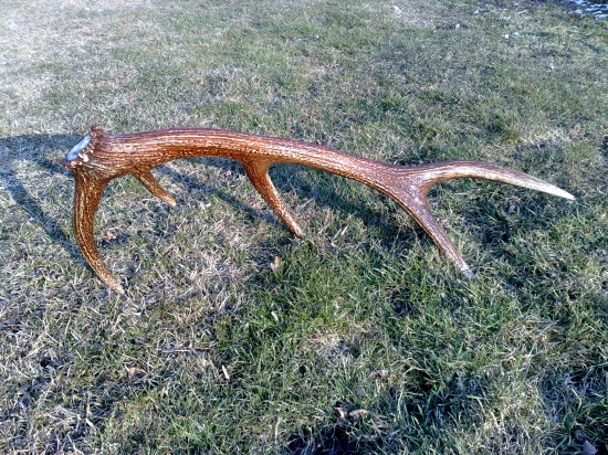 Konečne prvý tohtoročný 10torák, 1,7kg