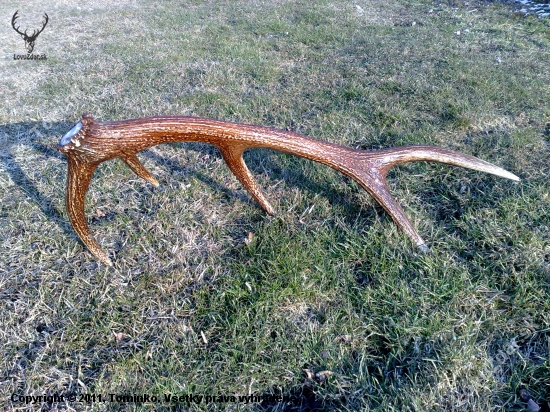 Konečne prvý tohtoročný 10torák, 1,7kg