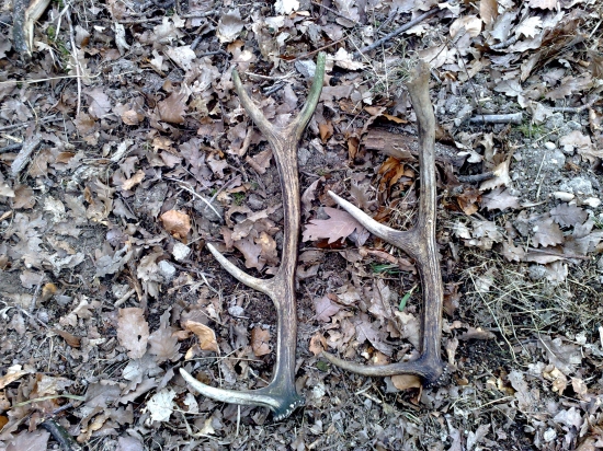 piatok sa poštastilo