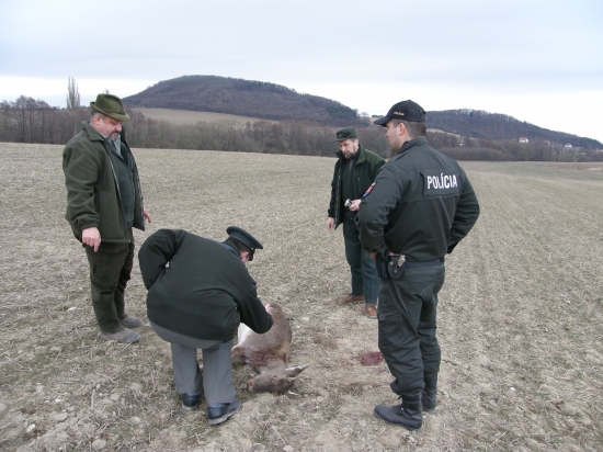 Opäť nájdený pytliacky úlovok daniel I.VT