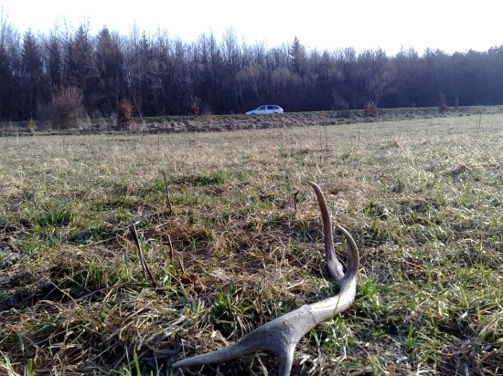 Vedľa hlavnej cesty