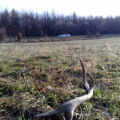 Vedľa hlavnej cesty