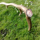 15ks v sezóne Osmoráčik