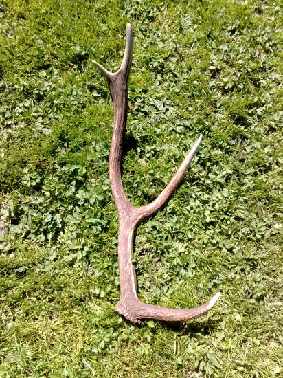 18ks v sezóne 2011, osmoráčik