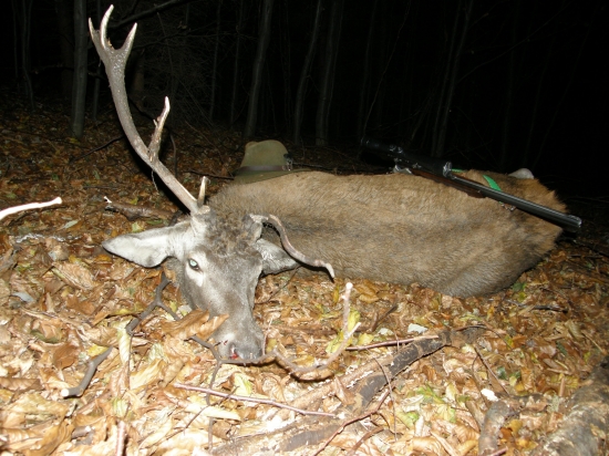 Tesne po ulovený, raritka