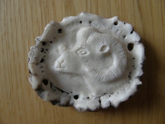 Skúšal som muflóna