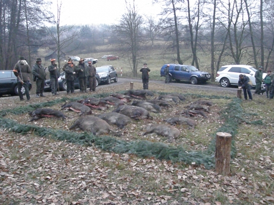 OZ Topoľčianky, LS Skýcov