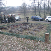 OZ Topoľčianky, LS Skýcov