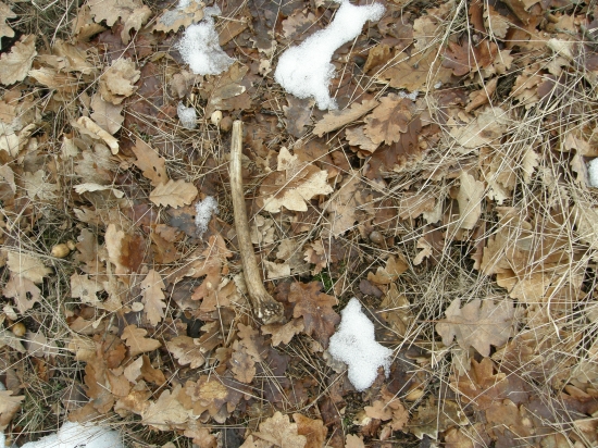 Prvý zhodík v roku 2012, starý,malý ale poteší :-D