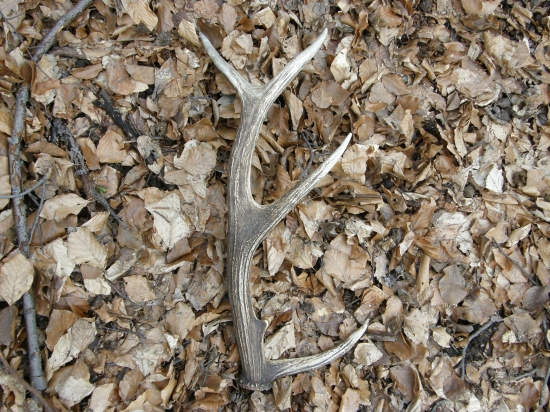 2/2012 takto si tam rok na mňa čakal :-D