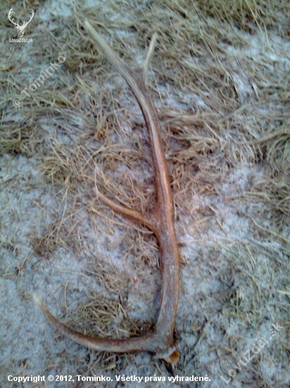 4/2012 konečne čerstvý