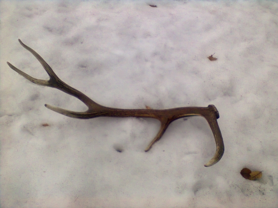 5/2012 desatorák 1,5kg