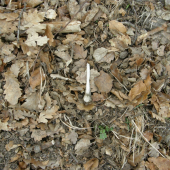 13/2012 aj taký sa najde :-D