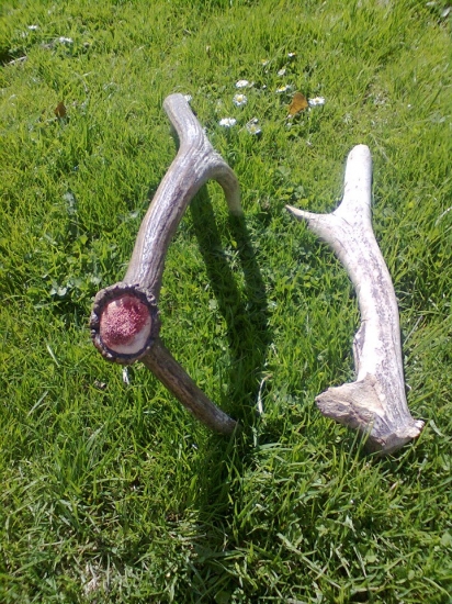 31-32/2012 koniec sezóny