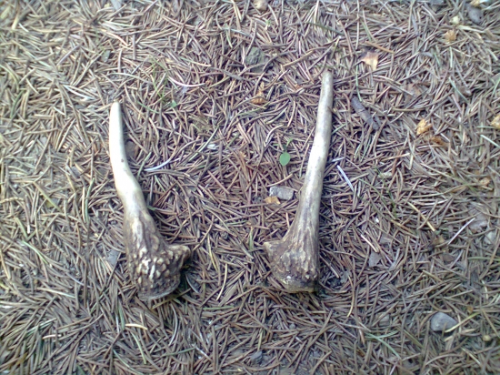 35-36/2012 zas sa usmialo na mna štastie, parka daniel