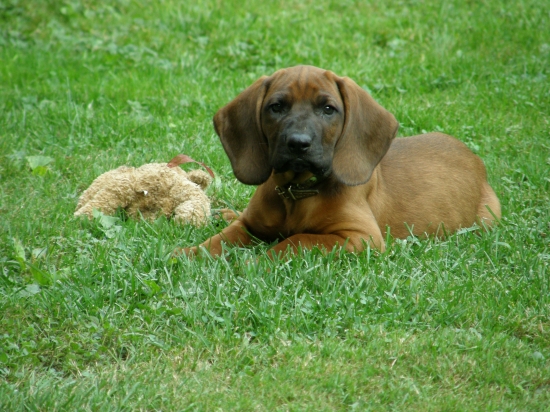 Nový prírastok do rodiny