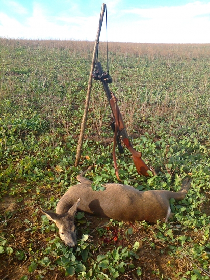 Rem. 223 nesklamal, 300m