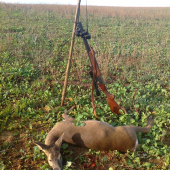 Rem. 223 nesklamal, 300m