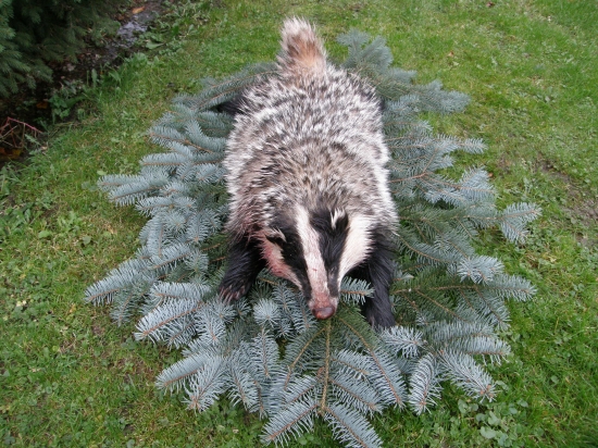 Čakať sa oplatí  :-D, nesklamal ma!