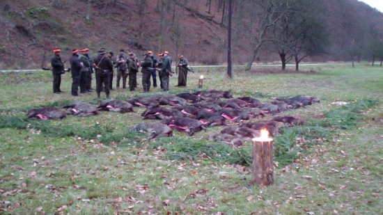 OZ Topoľčianky, LS Hrušov