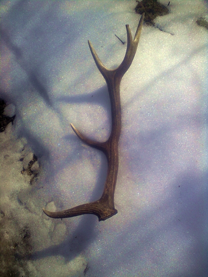 Už som ani nedúfal že sa usmeje na mňa štastie. 1/2013