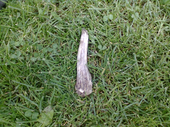 17/2013 trochu neskoro