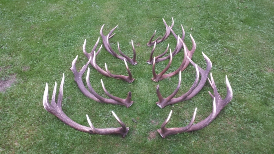 Konečne ako tak spolu :-D