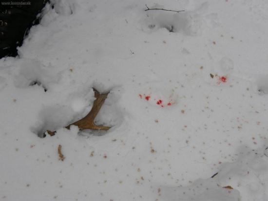 Ešte teplý (kamratov)