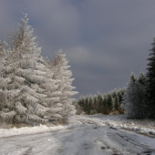 Zasnežená krajinka