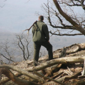 Už sa nese  (kamaratov)