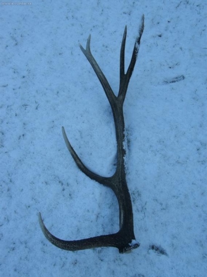 Konečne, ale vlanajší